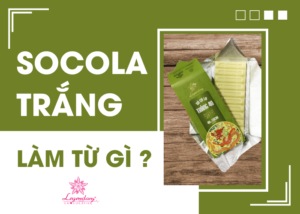 Socola Trắng Làm Từ Gì