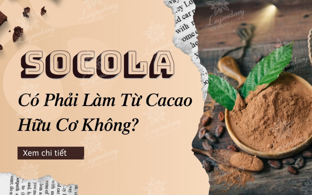 Socola Có Phải Làm Từ Cacao Hữu Cơ Không