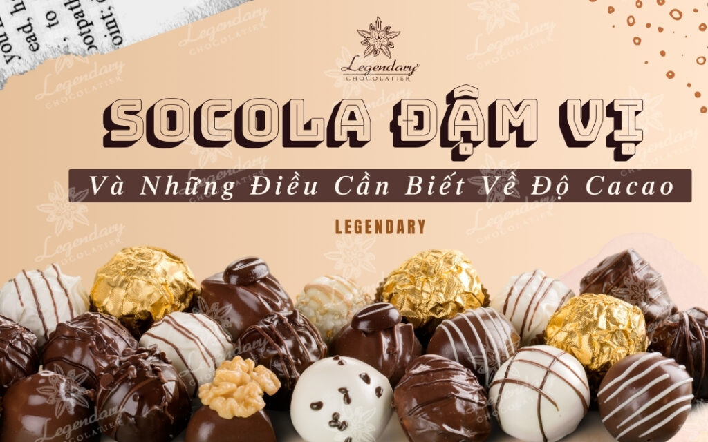 Socola Đậm Vị Và Những Điều Cần Biết Về Độ Cacao